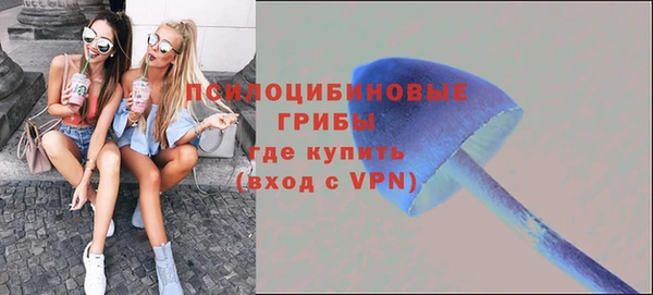 индика Бабаево