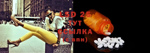 стаф Новодвинск