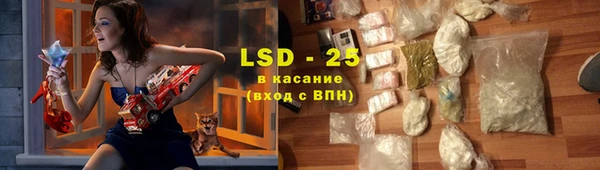 стаф Новодвинск
