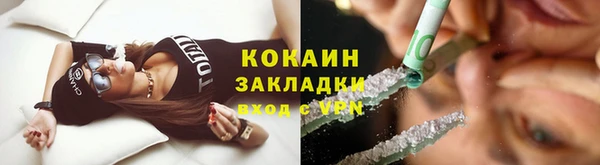 стаф Новодвинск