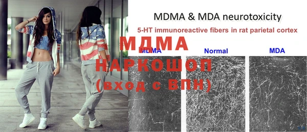 мяу мяу кристалл Аша