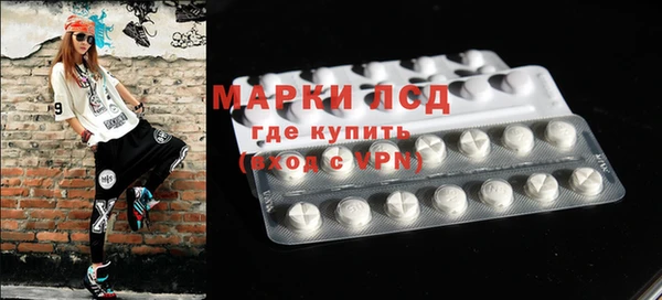стаф Новодвинск
