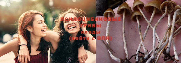 винт Новокубанск