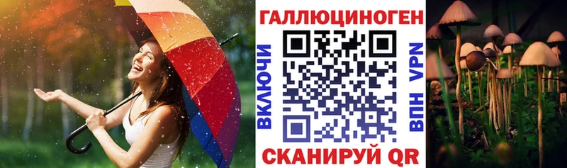 что такое   Лукоянов  ссылка на мегу зеркало  Псилоцибиновые грибы мицелий 